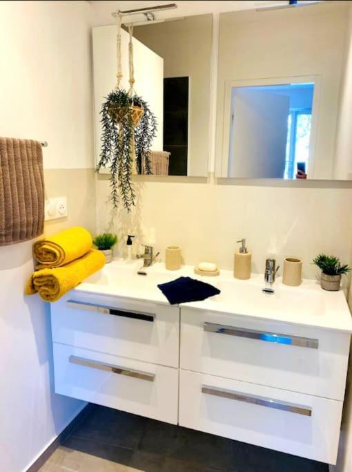 Appartement Le Tarasconnais Arles Nimes